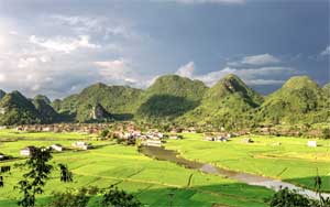 Bac-Ha