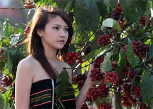 buon-ma-thuot