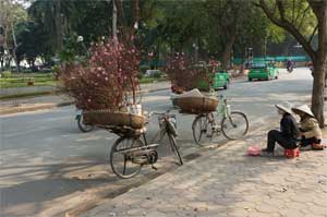 cyclo-tet-hanoi