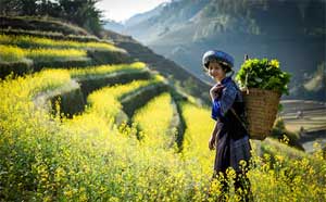 femme-hmong