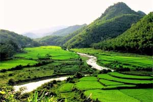Pu-Luong