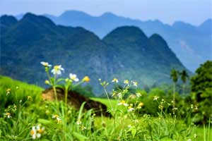 reserve_pu-luong