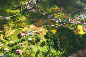 sapa
